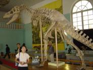 Mongolia Dinosaur bones museum