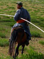 Pferde und Reiter in der Mongolei